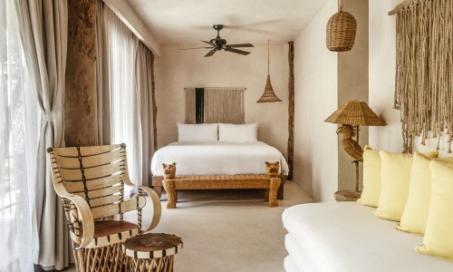 Jungle Suite Lower